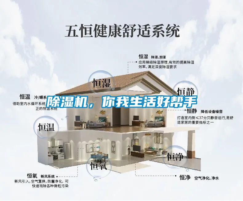除濕機，你我生活好幫手