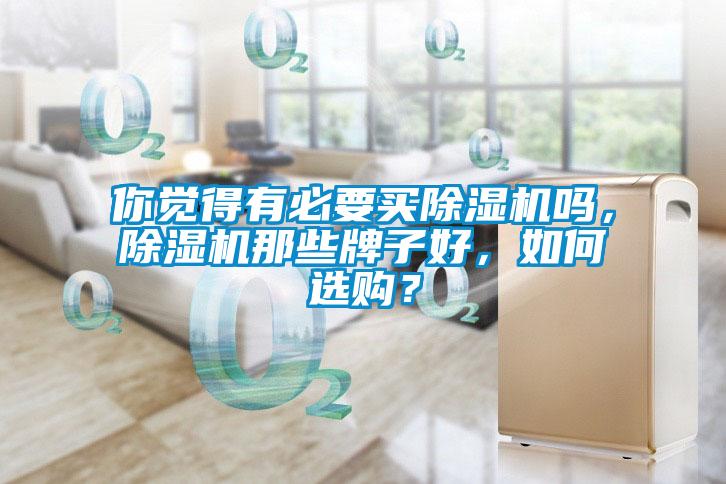 你覺得有必要買除濕機嗎，除濕機那些牌子好，如何選購？