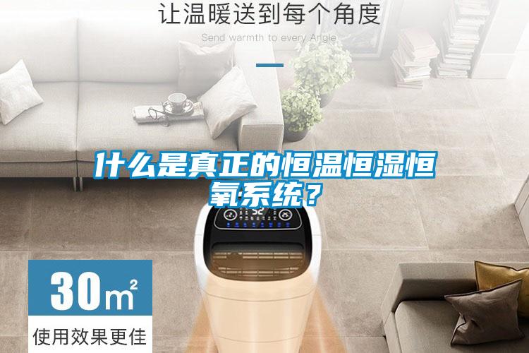 什么是真正的恒溫恒濕恒氧系統(tǒng)？