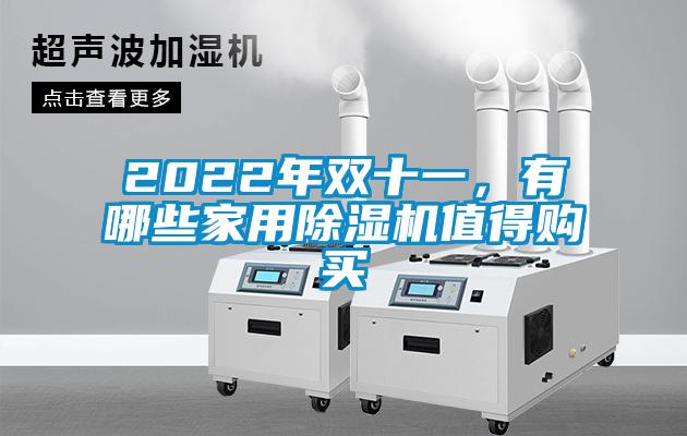 2022年雙十一，有哪些家用除濕機值得購買