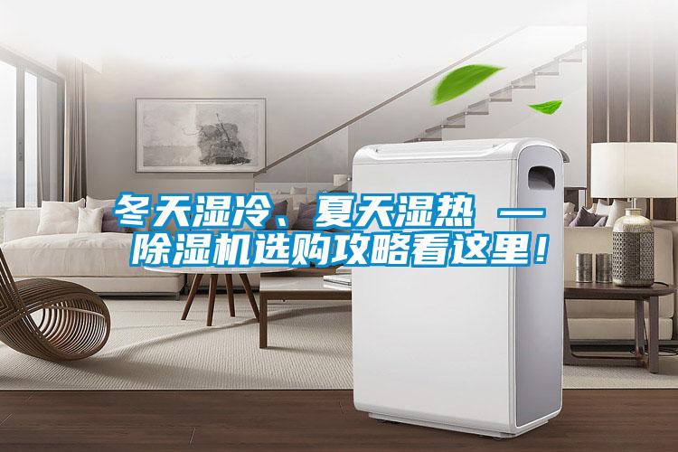 冬天濕冷、夏天濕熱 — 除濕機選購攻略看這里！