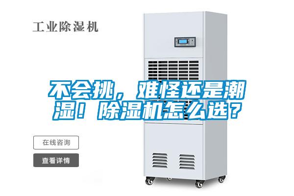 不會挑，難怪還是潮濕！除濕機怎么選？