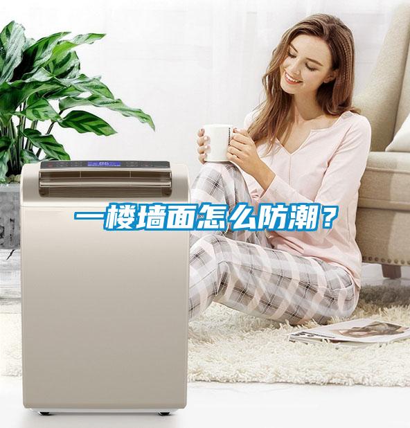 一樓墻面怎么防潮？
