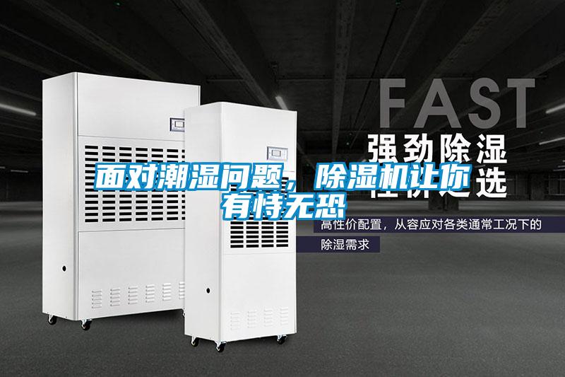 面對潮濕問題，除濕機讓你有恃無恐
