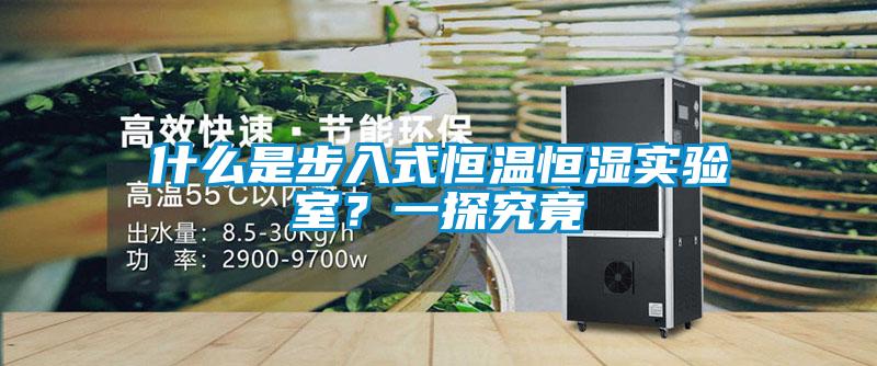 什么是步入式恒溫恒濕實驗室？一探究竟