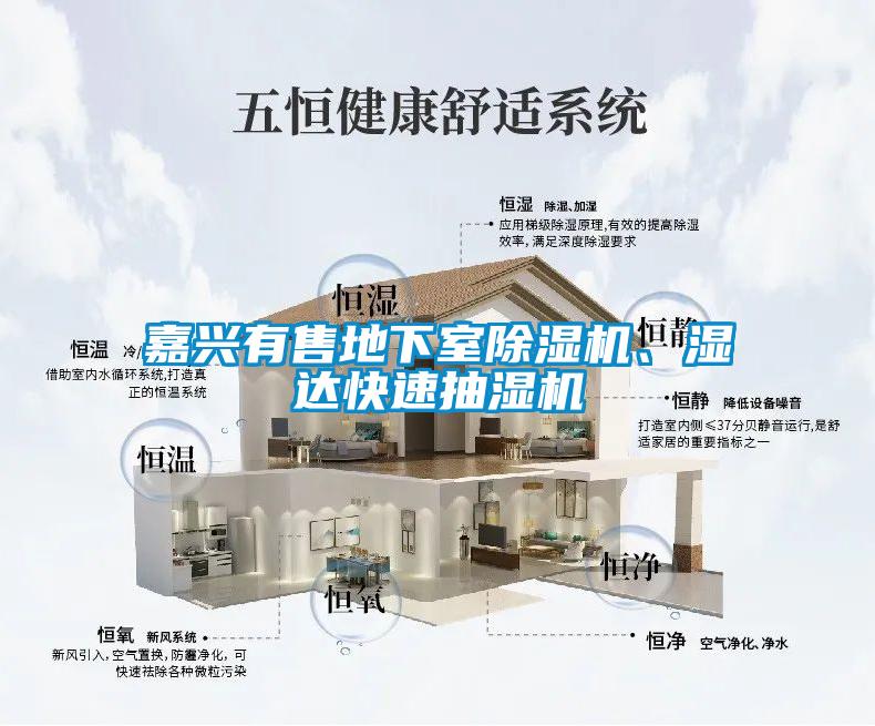 嘉興有售地下室除濕機(jī)、濕達(dá)快速抽濕機(jī)