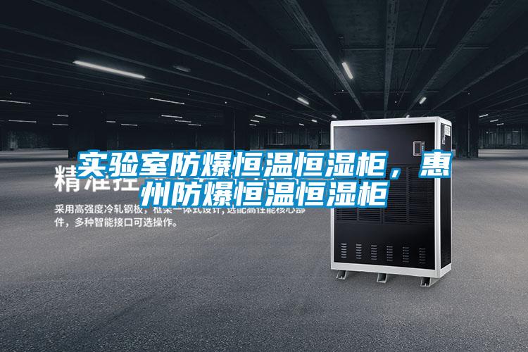 實(shí)驗(yàn)室防爆恒溫恒濕柜，惠州防爆恒溫恒濕柜