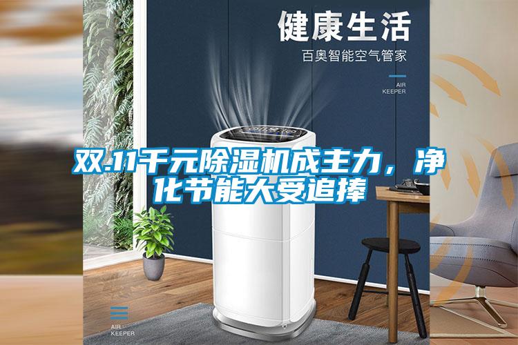 雙.11千元除濕機(jī)成主力，凈化節(jié)能大受追捧