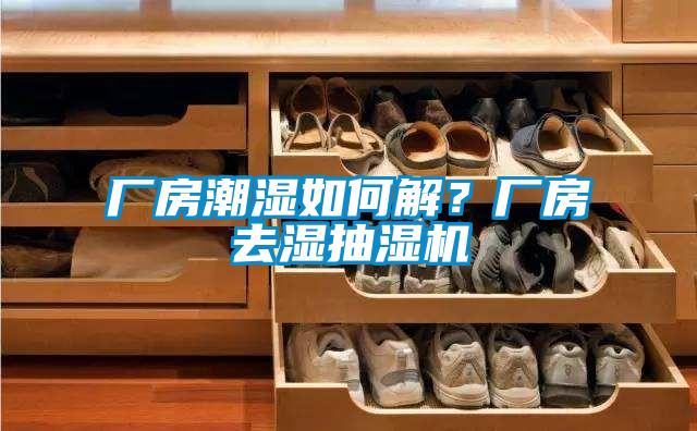 廠房潮濕如何解？廠房去濕抽濕機