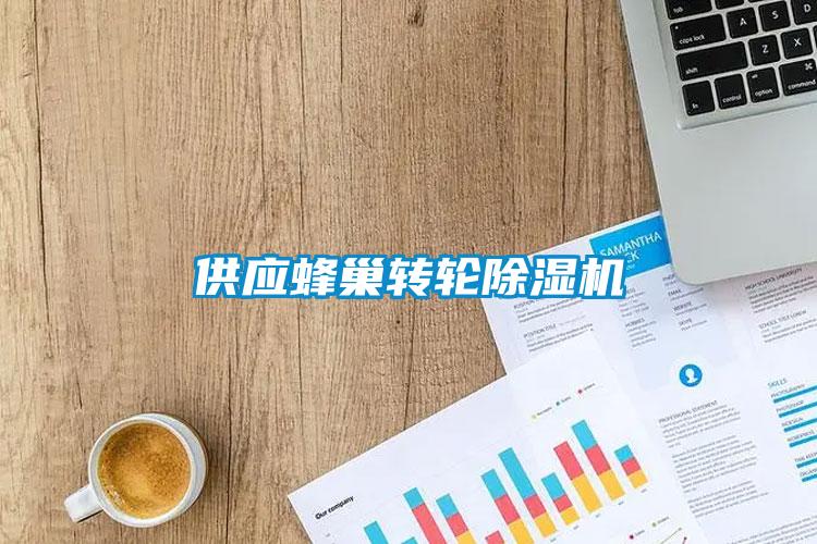供應蜂巢轉(zhuǎn)輪除濕機