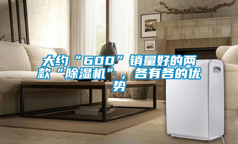 大約“600”銷量好的兩款“除濕機(jī)”，各有各的優(yōu)勢