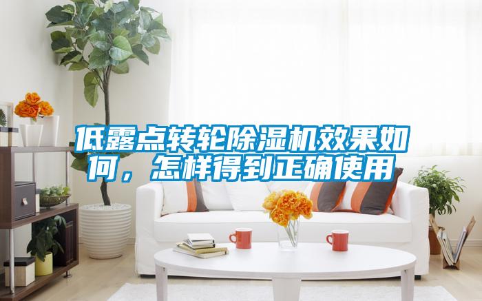 低露點轉(zhuǎn)輪除濕機效果如何，怎樣得到正確使用