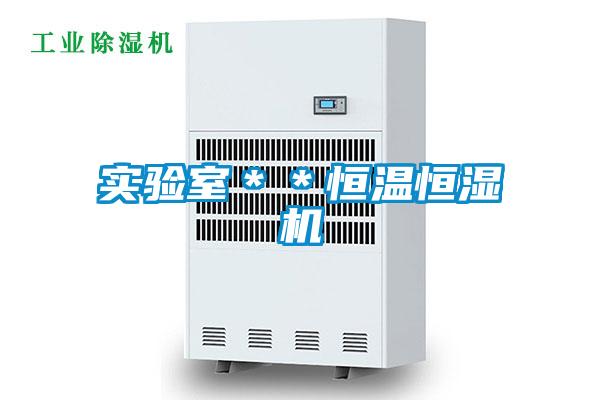 實驗室＊＊恒溫恒濕機(jī)