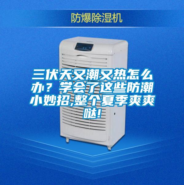 三伏天又潮又熱怎么辦？學(xué)會了這些防潮小妙招,整個夏季爽爽噠!