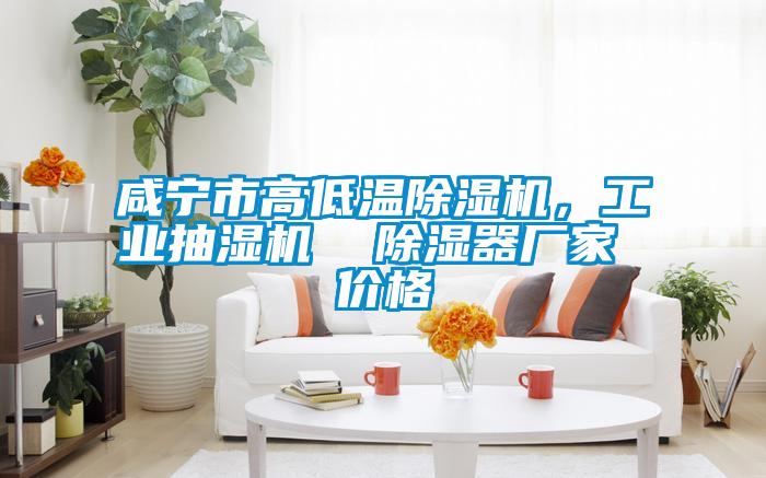 咸寧市高低溫除濕機(jī)，工業(yè)抽濕機(jī)  除濕器廠家 價(jià)格