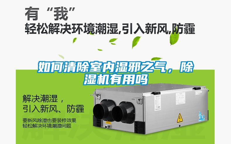 如何清除室內(nèi)濕邪之氣，除濕機(jī)有用嗎