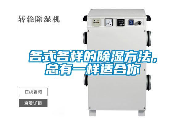 各式各樣的除濕方法，總有一樣適合你