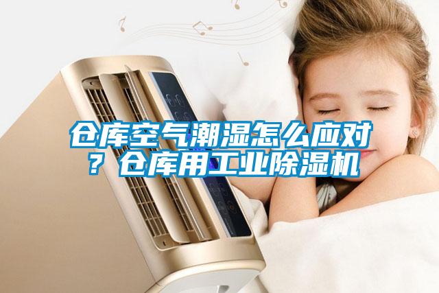 倉庫空氣潮濕怎么應對？倉庫用工業(yè)除濕機
