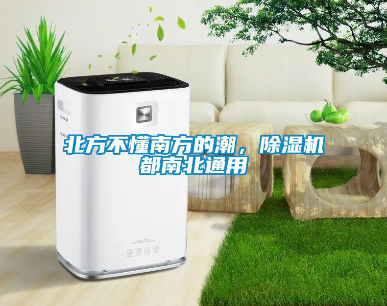 北方不懂南方的潮，除濕機都南北通用