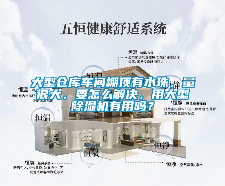 大型倉(cāng)庫(kù)車(chē)間棚頂有水珠，量很大，要怎么解決，用大型除濕機(jī)有用嗎？