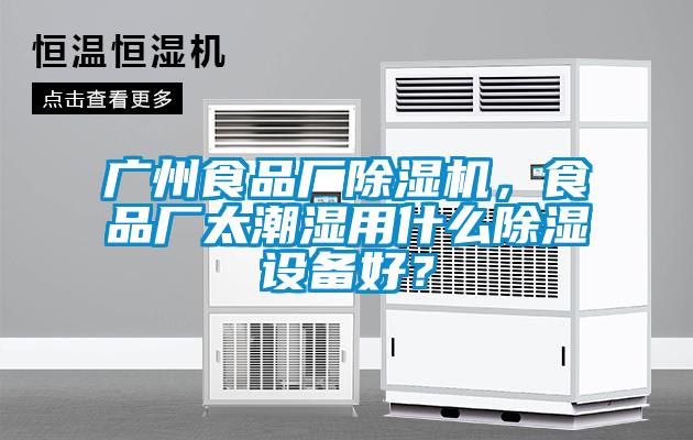 廣州食品廠除濕機，食品廠太潮濕用什么除濕設備好？