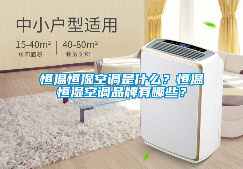 恒溫恒濕空調(diào)是什么？恒溫恒濕空調(diào)品牌有哪些？