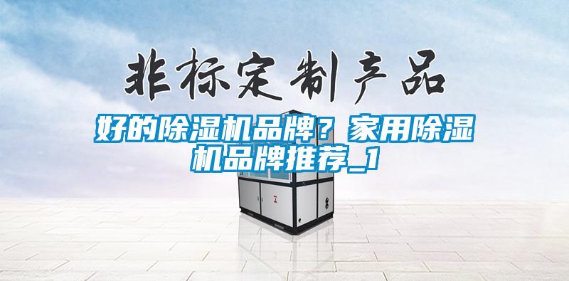 好的除濕機(jī)品牌？家用除濕機(jī)品牌推薦_1