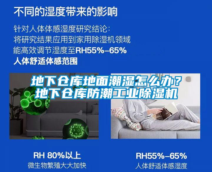 地下倉庫地面潮濕怎么辦？地下倉庫防潮工業(yè)除濕機