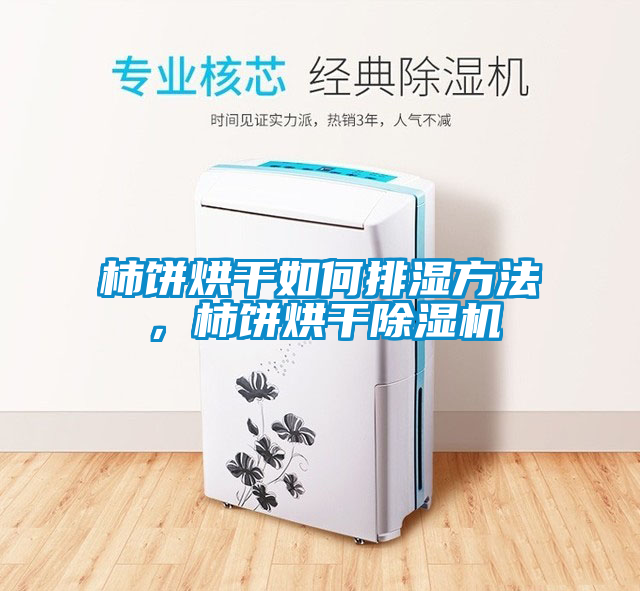 柿餅烘干如何排濕方法，柿餅烘干除濕機(jī)