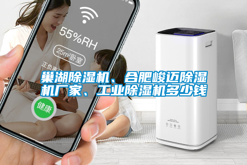 巢湖除濕機(jī)、合肥峻邁除濕機(jī)廠家、工業(yè)除濕機(jī)多少錢