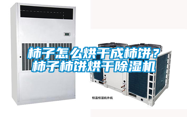 柿子怎么烘干成柿餅？柿子柿餅烘干除濕機(jī)