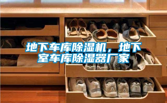 地下車庫除濕機(jī)，地下室車庫除濕器廠家