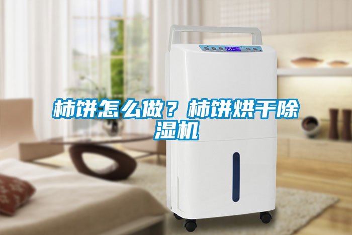 柿餅怎么做？柿餅烘干除濕機