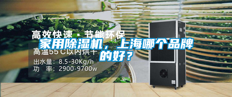 家用除濕機(jī)，上海哪個品牌的好？
