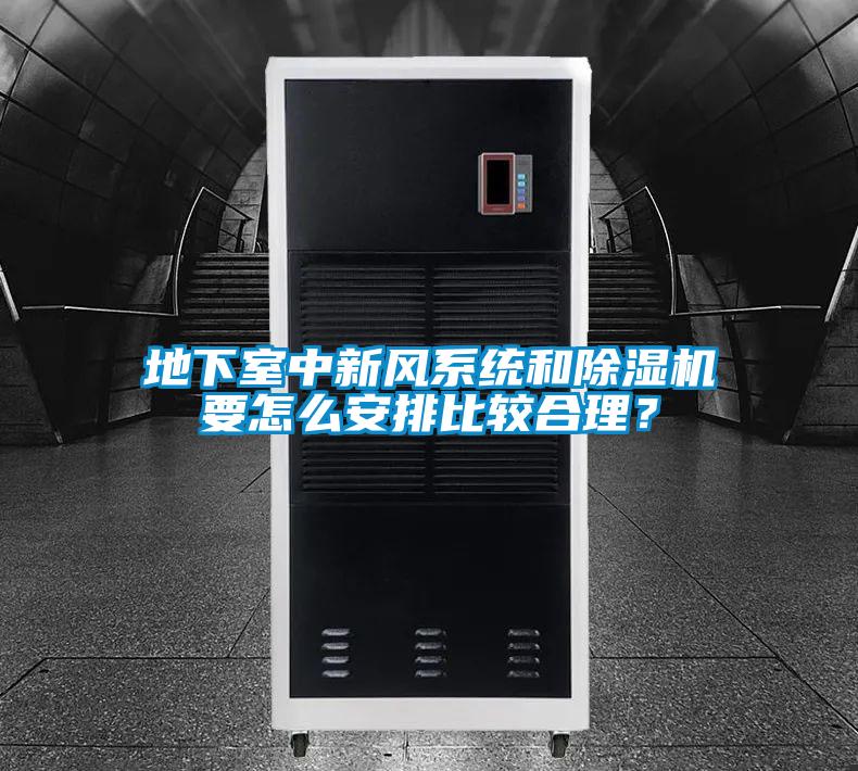 地下室中新風(fēng)系統(tǒng)和除濕機(jī)要怎么安排比較合理？