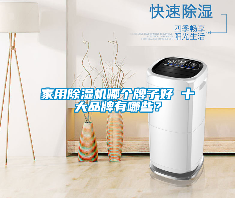 家用除濕機哪個牌子好 十大品牌有哪些？