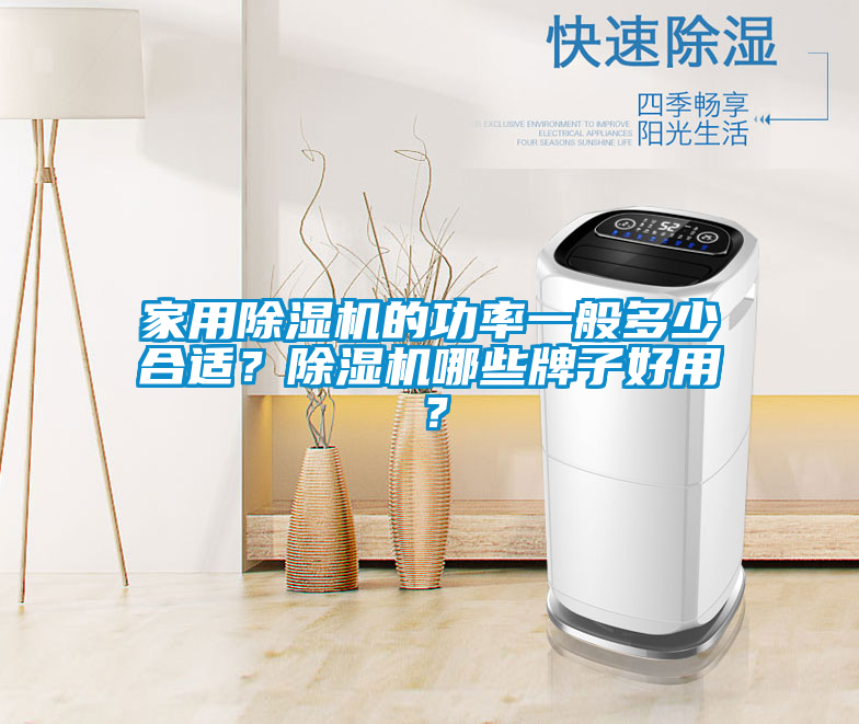 家用除濕機(jī)的功率一般多少合適？除濕機(jī)哪些牌子好用？
