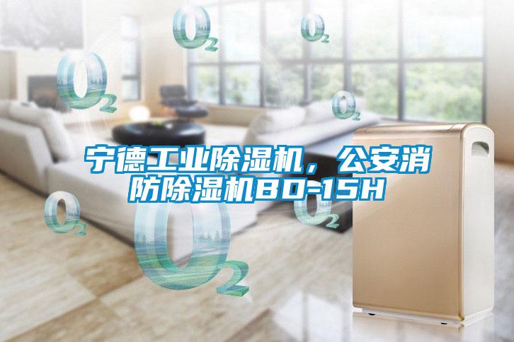 寧德工業(yè)除濕機，公安消防除濕機BD-15H