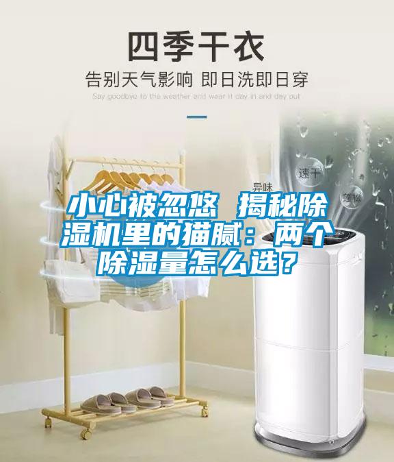 小心被忽悠 揭秘除濕機(jī)里的貓膩：兩個(gè)除濕量怎么選？