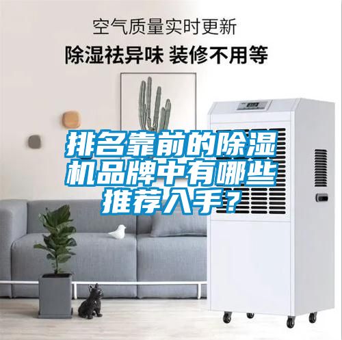 排名靠前的除濕機品牌中有哪些推薦入手？