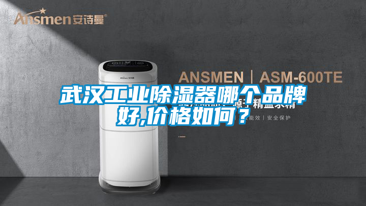 武漢工業(yè)除濕器哪個品牌好,價格如何？
