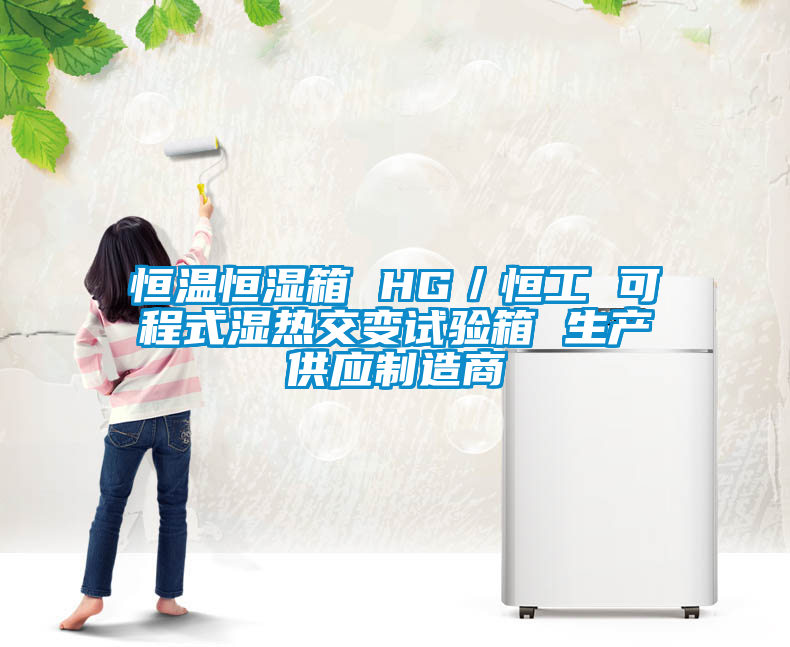 恒溫恒濕箱 HG／恒工 可程式濕熱交變試驗箱 生產(chǎn)供應制造商