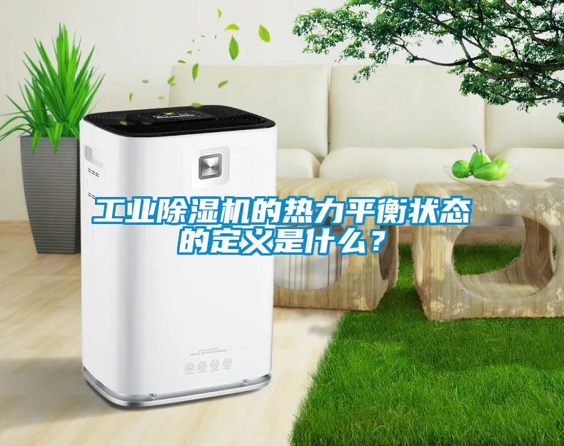 工業(yè)除濕機(jī)的熱力平衡狀態(tài)的定義是什么？
