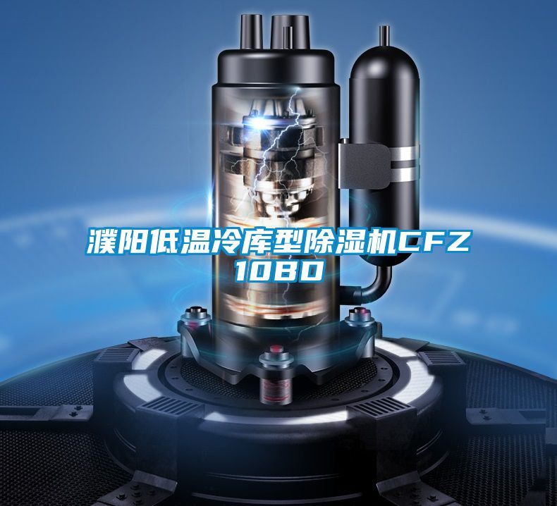 濮陽低溫冷庫(kù)型除濕機(jī)CFZ10BD