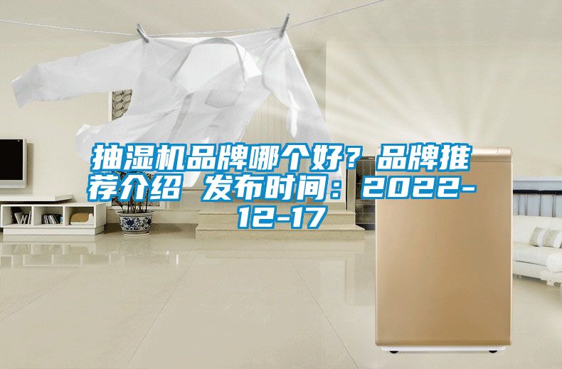 抽濕機品牌哪個好？品牌推薦介紹 發(fā)布時間：2022-12-17