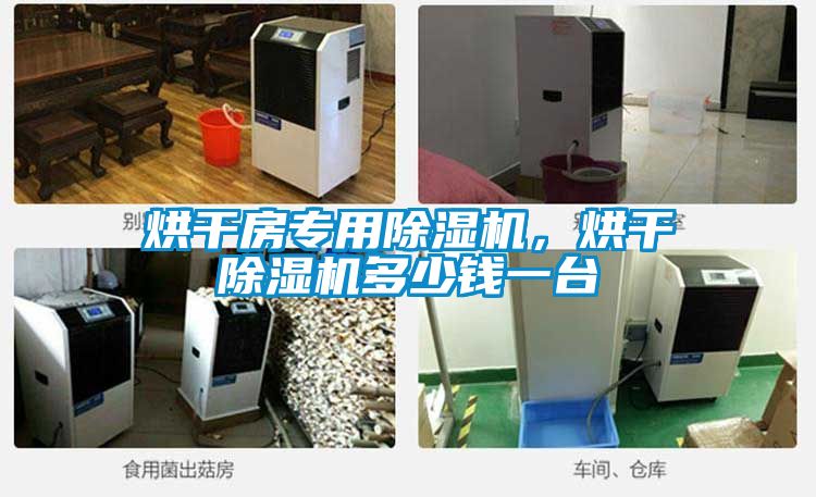 烘干房專用除濕機(jī)，烘干除濕機(jī)多少錢一臺(tái)