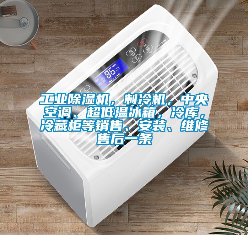 工業(yè)除濕機(jī)，制冷機(jī)，中央空調(diào)、超低溫冰箱，冷庫，冷藏柜等銷售、安裝、維修售后一條