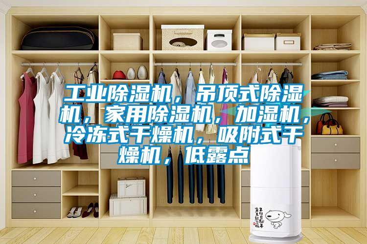 工業(yè)除濕機，吊頂式除濕機，家用除濕機，加濕機，冷凍式干燥機，吸附式干燥機，低露點