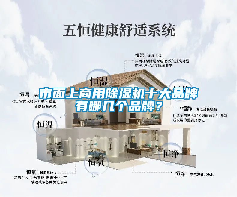 市面上商用除濕機(jī)十大品牌有哪幾個品牌？