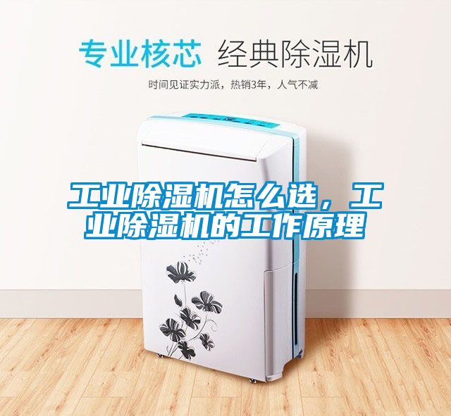 工業(yè)除濕機(jī)怎么選，工業(yè)除濕機(jī)的工作原理